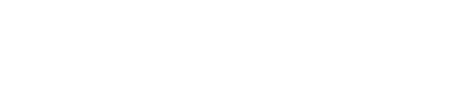 Molvp Inc.